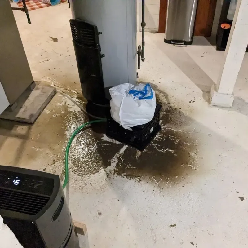 Sewage Backup Cleanup Service in Atoka, TN